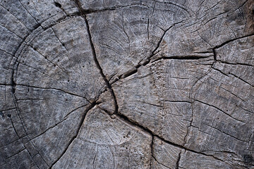 The broken wooden background