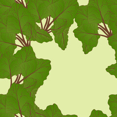 Seamless, abstract pattern with large green and red rhubarb leaves drawn on a gray-green background. Seamless pattern with rhubarb leaves. Botanical drawing.