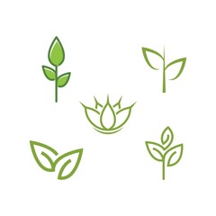 Green leaf logo