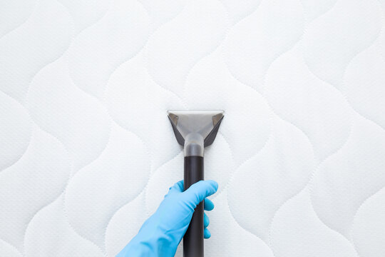 Employee hand in blue protective glove cleaning new modern white mattress with professionally extraction method. Regular cleanup. Commercial cleaning company. Closeup. Point of view shot. Top view.