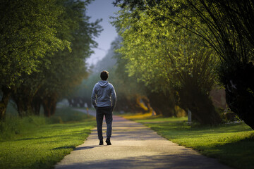 One young alone man slowly walking through alley of trees in warm summer night. Spending time alone in nature. Peaceful atmosphere. Back view.