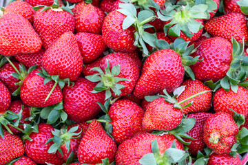 Background from freshly harvested strawberries, directly above