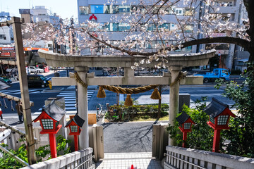 東京 十番稲荷神社 春