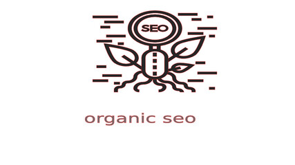 Obraz premium light bulb icon