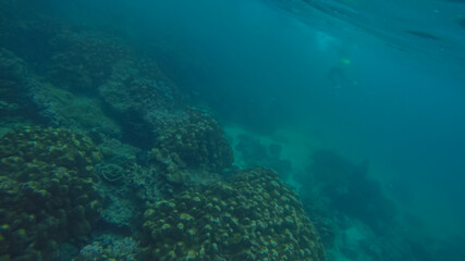 Panoramic scene under water and blue background