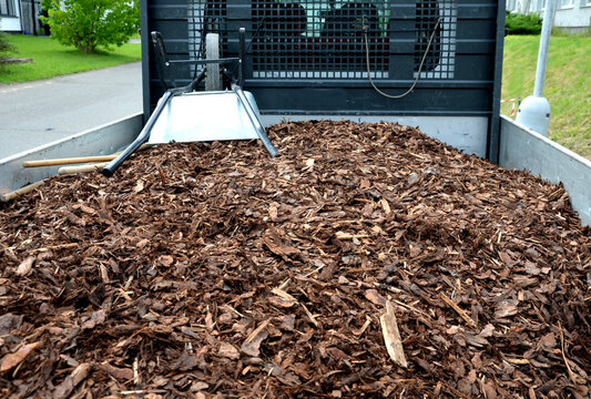 mulch bark from pieces of pine and spruce to prevent weeds from growing and germinating gardener carries it on the back of a delivery van man's hand evaluates the quality of pieces of mulch