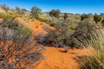 Desert area in the Pilbara region of Western Australia.