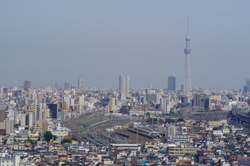Fototapeta premium 東京の都市景観