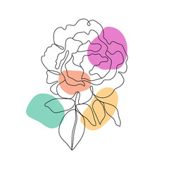 Rose floral line arts frame cover collection. Minimalistic modern line art  Flower with abstract shape background for print, beauty and fashion. vector illustration.