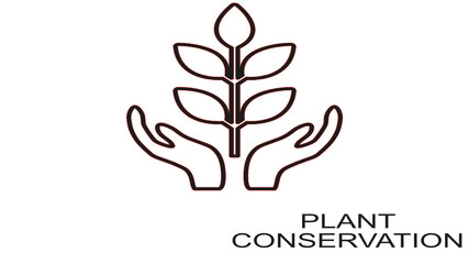 Obraz premium vector tree icons