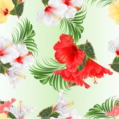 Fototapeten Seamless texture tropical flowers  floral arrangement, with white red  yellow hibiscus and  ficus and palm set watercolor  on a white background vintage vector illustration  editable hand draw © zdenat5