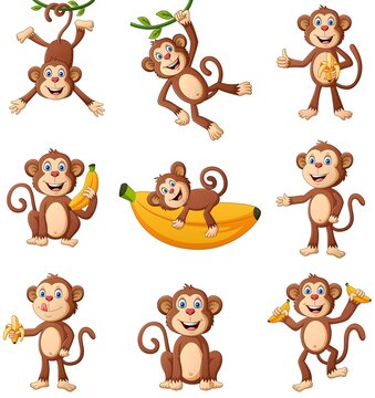 Set of monkey cartoon different poses. Vector illustration