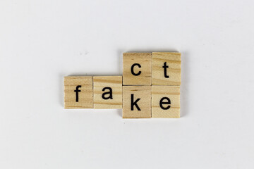 Wooden blocks with letters forming words "Fact" and "Fake" on neutral background