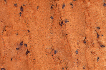 mocha flavour ice cream with chocolate chips texture