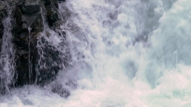 Salmon jumping high to climb waterfall, failing and succeeding