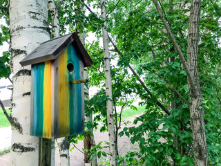 Birdhouse on tree in spring or summer. Bird feeder hangs on birch tree. Wooden house for birds in...