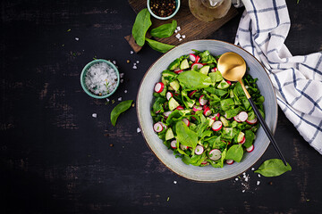 Vegetarian vegetable salad of radish, cucumbers and spinach. Healthy  vegan food.  Top view, overhead, copy space
