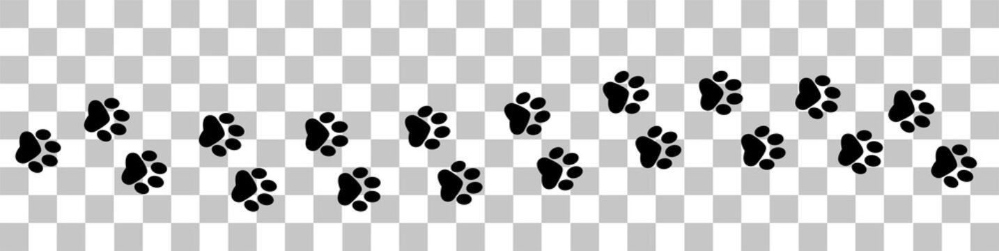 recommend clip art: Paw vector foot trail print . Dog, puppy,cat,bear,wolf silhouette animal. Paw print trail on transparent background. Vector illustration