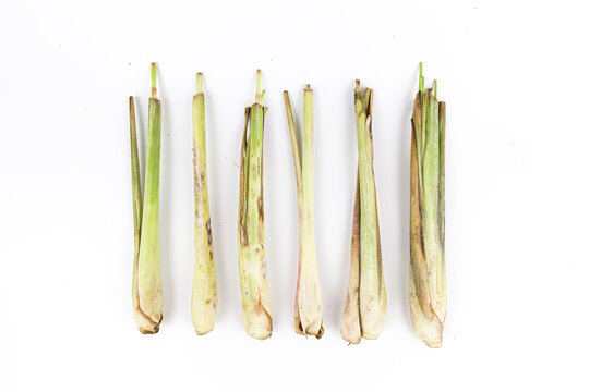 Fresh Lemongrass (Cymbopogon citratus) or citronella, serai with slices and lemongrass leaves , isolated on white background.
