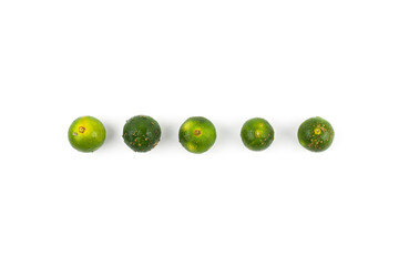 Calamansi lime known as Limau Kasturi in Malaysia