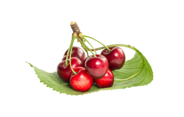 A bunch of ripe cherries