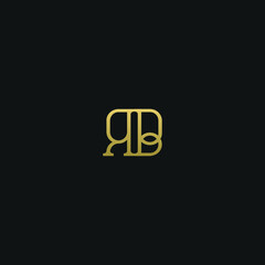 Creative modern elegant trendy unique artistic RB BR R B initial based letter icon logo.