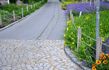 flower beds tend to be more aesthetically impressive. a flowerbed of a sidewalk path with blue...