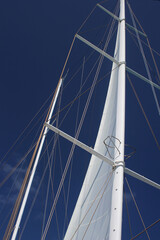 Obraz premium Sailing