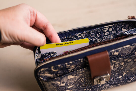 driver licence in womans purse