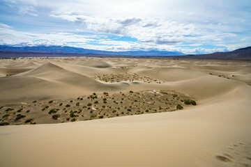 mesquite flat sand dunes in death valley national park in california, usa