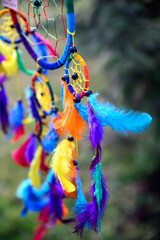 Obraz premium Mystic colorful dream catcher, boho vintage decoration. Nature background, details.