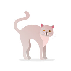Funny white cat icon in cartoon style. Cute kitty pictogram for pet shop, veterinary clinic and animal shelter. Cat mascot for store advertising and products for pets isolated vector illustration.