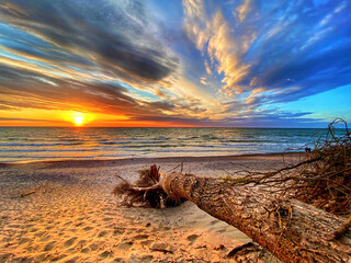A very beautiful sunset shot on the shore of the Baltic sea. You can see the beach, clouds, sun, sea and a fallen tree.