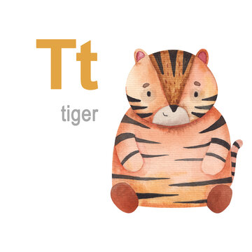 t letter set of animals alphabet illustration watercolor tiger on a white background