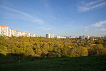 Fototapeta na wymiar Multi-storey residential buildings in the distance, green park