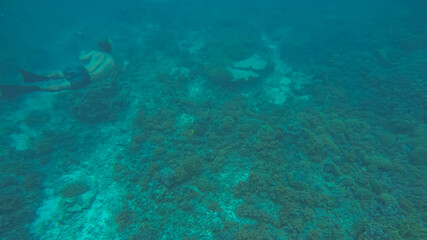 Panoramic scene under water and blue background
