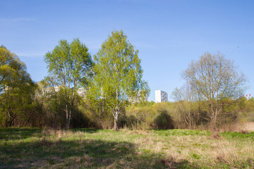 Obraz premium Dry grass, climbing a hill and apartment buildings, blue sky without clouds