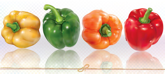 Colorfull pepper paprica places in hoprizontal line