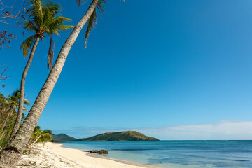 Fototapeta na wymiar Tropical beach scene with palm trees and blue sky