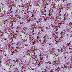 Obraz premium lilac flowers Seamless pattern