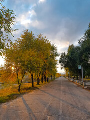 road in autumn