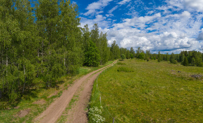 Fototapeta na wymiar Forested panorama