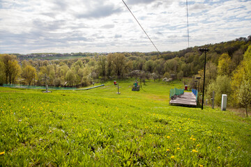 Slope in a small forest with birches