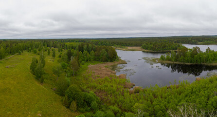 Forested panorama