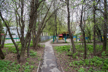Footpath around trees and fences