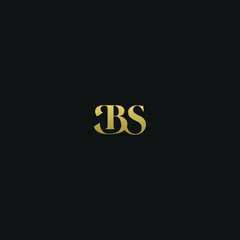 Creative modern elegant trendy unique artistic BS SB B S initial based letter icon logo