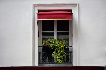 Fototapeta na wymiar Window and flowerpot in Paris