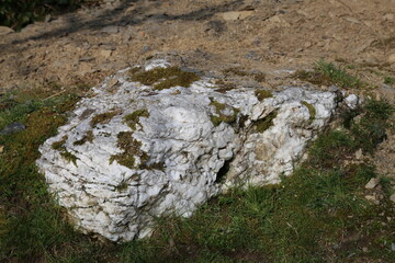A close up view of some white quartz rock surrounded by vegetation.