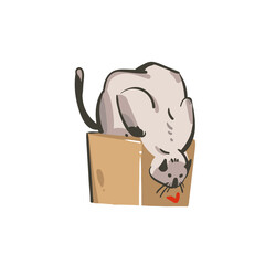 Hand drawn vector abstract stock flat graphic illustration with young happy cat and small heart isolated on white background