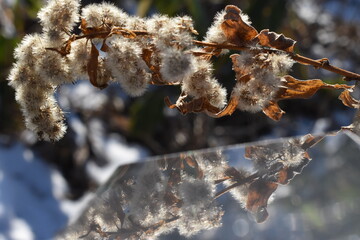 The early morning in one winter day Sapporo Japan